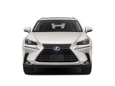 2021 Lexus NX 300h Luxury