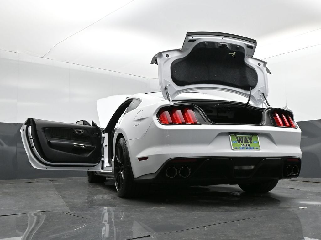 2017 Ford Mustang Shelby GT350