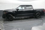 2026 Ford F-150 STX LOBO