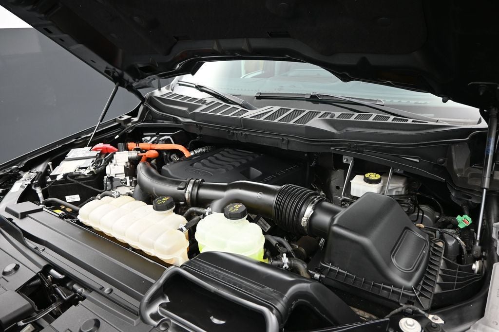 2023 Ford F-150 Limited