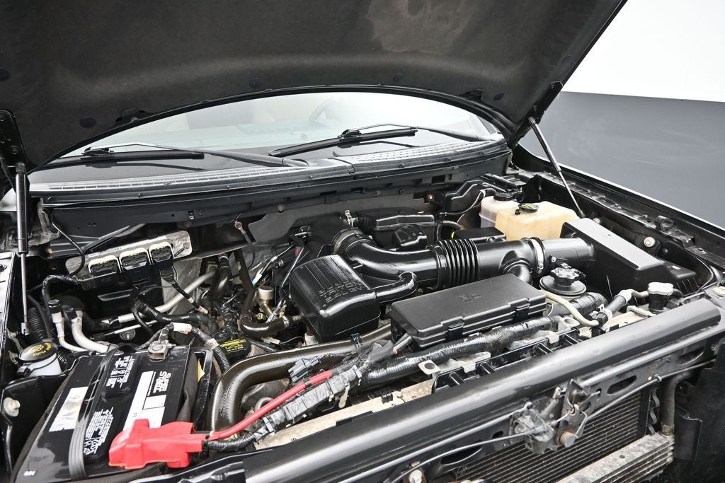 2010 Ford F-150 XL