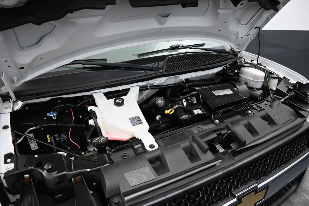 2020 Chevrolet Express 2500 Work Van Cargo