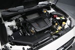 2019 Subaru WRX Base