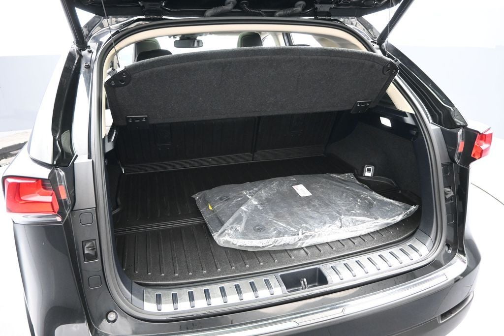 2019 Lexus NX 300 Base