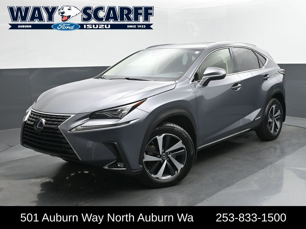 2021 Lexus NX 300h Luxury