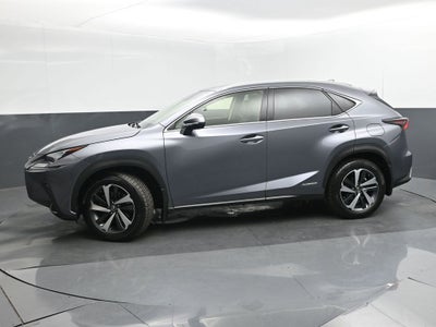 2021 Lexus NX 300h Luxury