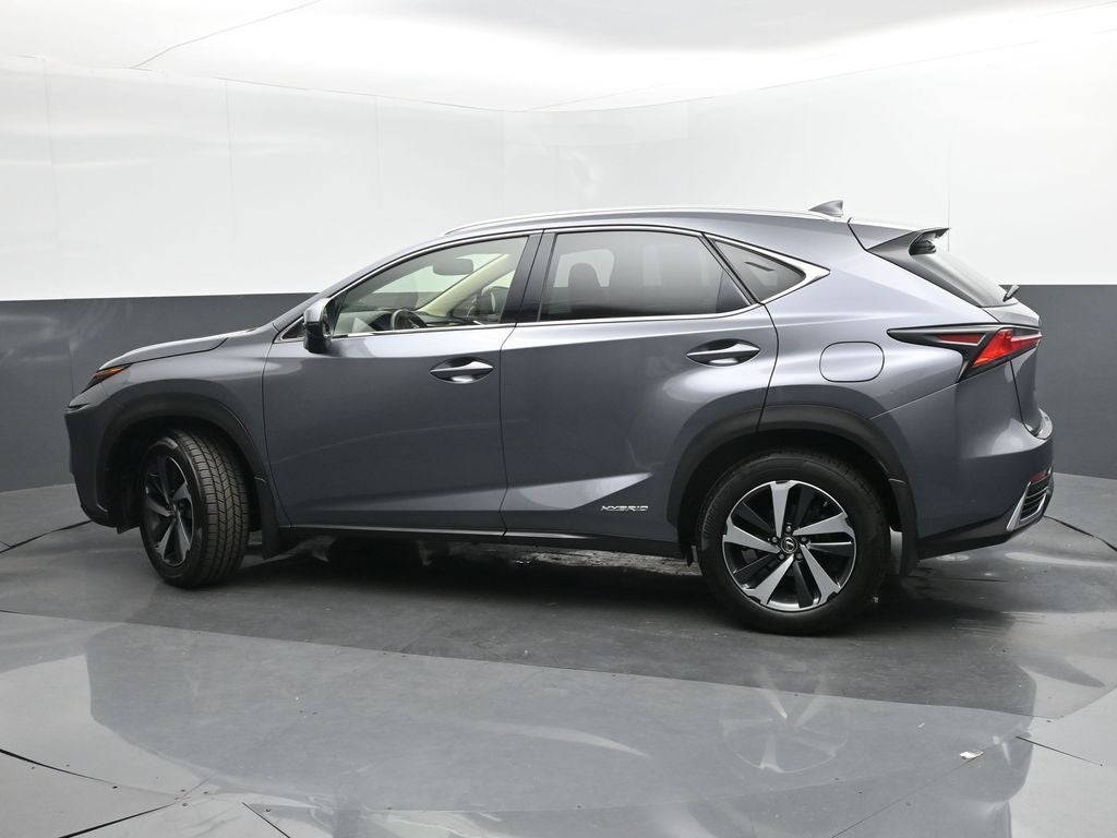 2021 Lexus NX 300h Luxury