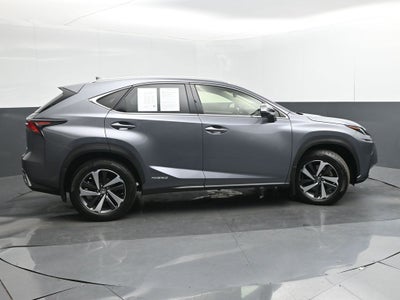 2021 Lexus NX 300h Luxury
