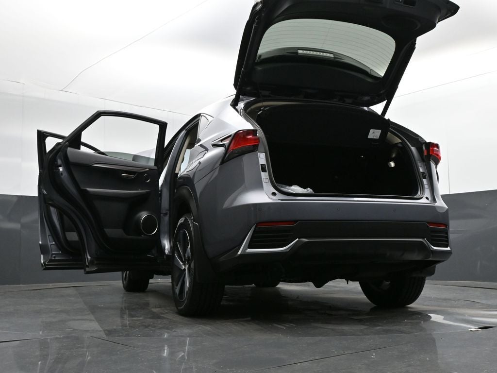 2021 Lexus NX 300h Luxury