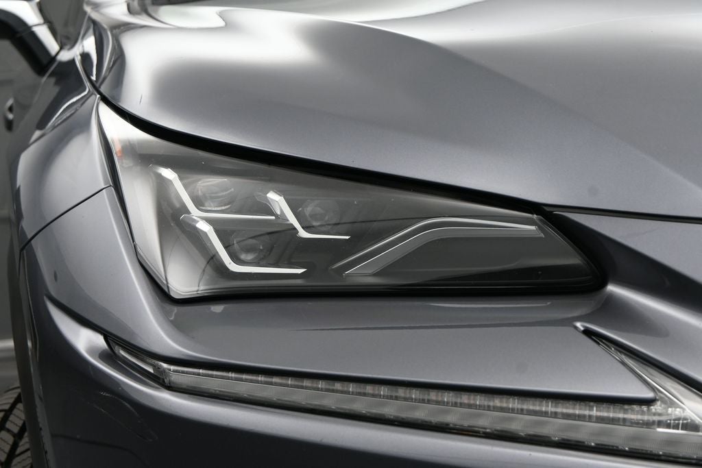 2021 Lexus NX 300h Luxury