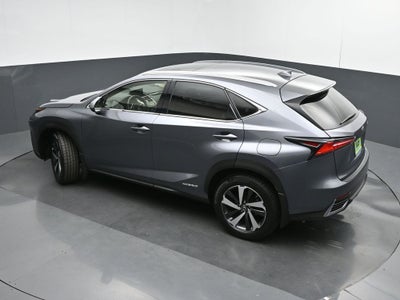 2021 Lexus NX 300h Luxury
